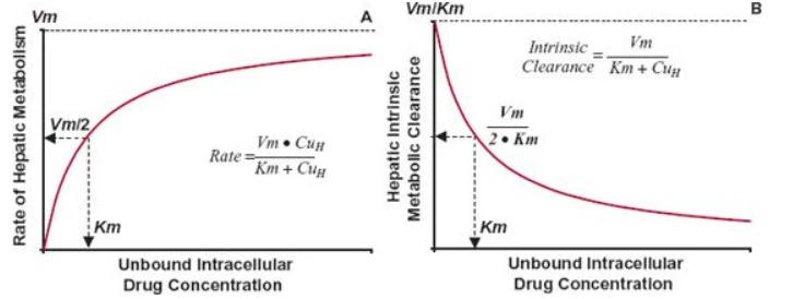 When hepatic metabolism follows Michaelis-Menten kinetics, the rate of metabolism increases toward a maximum value, Vm, as the unbound intracellular drug concentration, CuH, is increased. The concentration at which the rate is one half the maximum is the Kmvalue. B. The intrinsic metabolite clearance falls with increasing intracellular concentration. The concentration at which intrinsic metabolic clearance is one half the maximum is also the Km value. The equations for the relationships are shown. When hepatic metabolism follows Michaelis-Menten kinetics, the rate of metabolism increases toward a maximum value, Vm, as the unbound intracellular drug concentration, CuH, is increased. The concentration at which the rate is one half the maximum is the Kmvalue. B. The intrinsic metabolite clearance falls with increasing intracellular concentration. The concentration at which intrinsic metabolic clearance is one half the maximum is also the Km value. The equations for the relationships are shown.