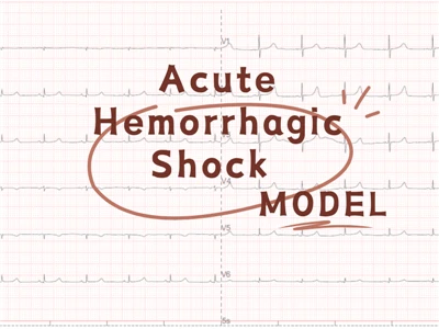 Akutes hämorrhagisches Schockmodell NHP -Modell
